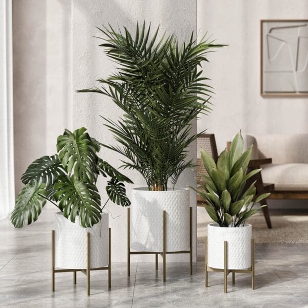 Greenery & Plants | Medium elegant pot with medium plant